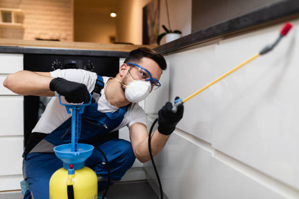 Best Pest Control Near Me  in Goulds, FL