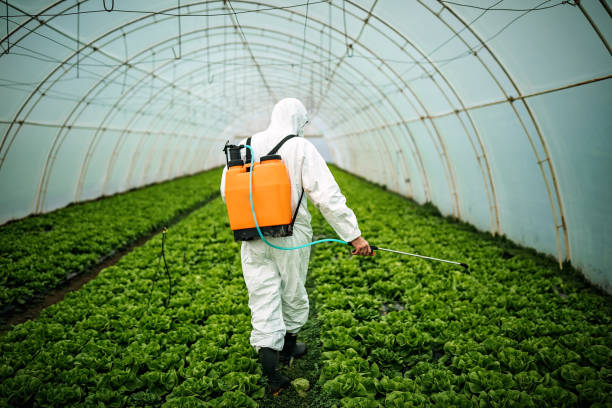 Best Emergency Pest Control  in Goulds, FL