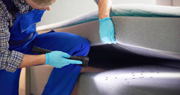Best Best Pest Control Companies  in Goulds, FL