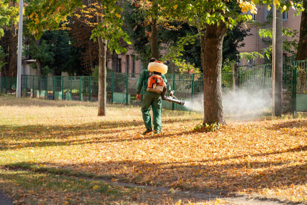 Best Pest Removal Services  in Goulds, FL