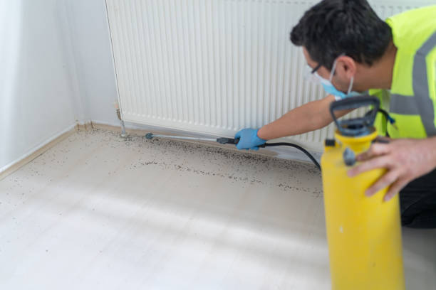 Best Affordable Exterminators  in Goulds, FL